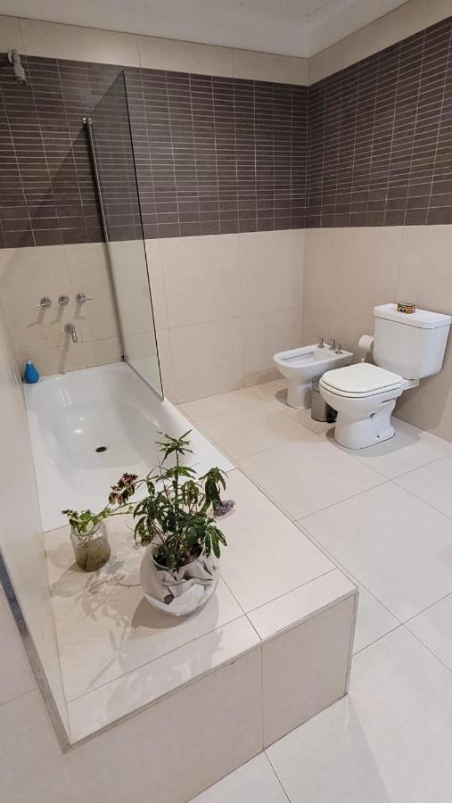 בואנוס איירס Vivaterra Apartments - San Telmo מראה חיצוני תמונה